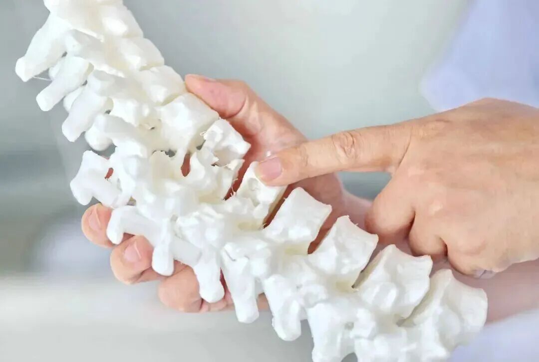 【三减三健】培养健康生活方式，筑牢家庭健康基石