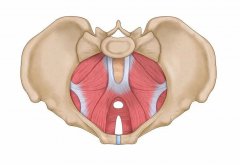 【福德康复】关注盆底健康,守护幸福“底”线