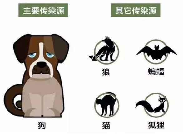 【世界狂犬病日】福德医院-你我共同行动，共筑狂犬病防控防线