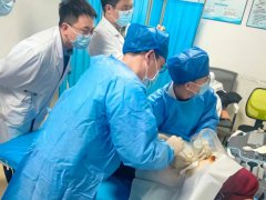 【超声介入】一根细管“穿”破危局！我院多学科协作精准守护生命