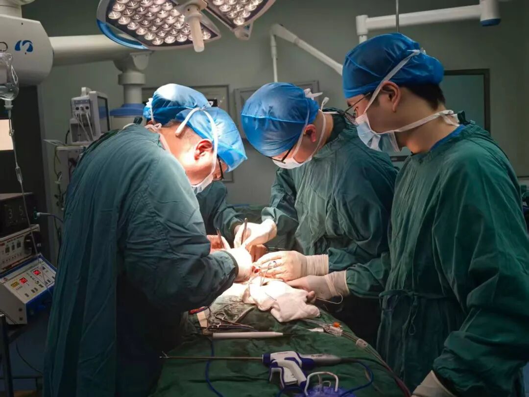 【福德泌尿】跨省求医终得治！专家妙手破解复杂输尿管狭窄问题 